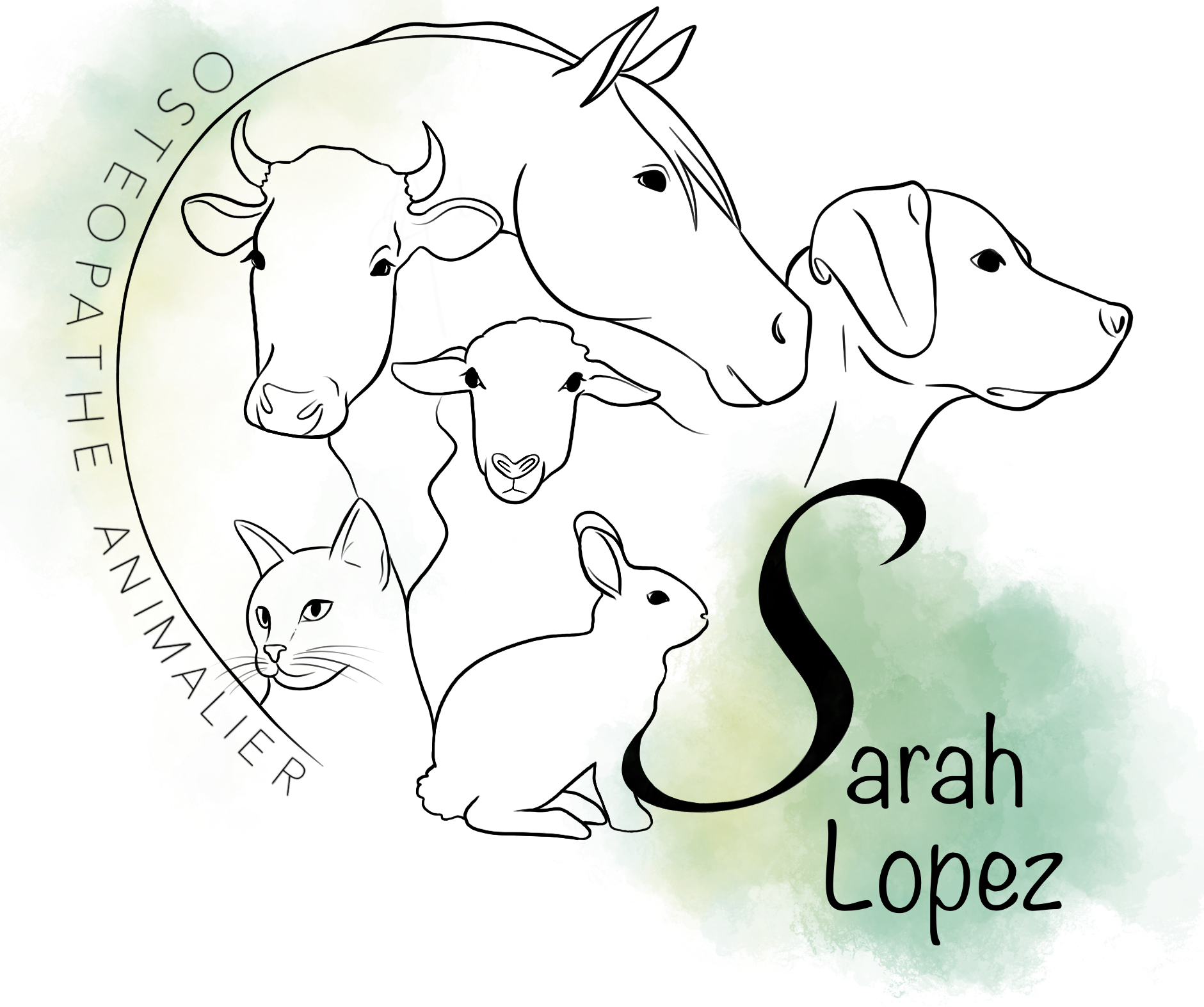 Sarah Ostéopathe Animalier